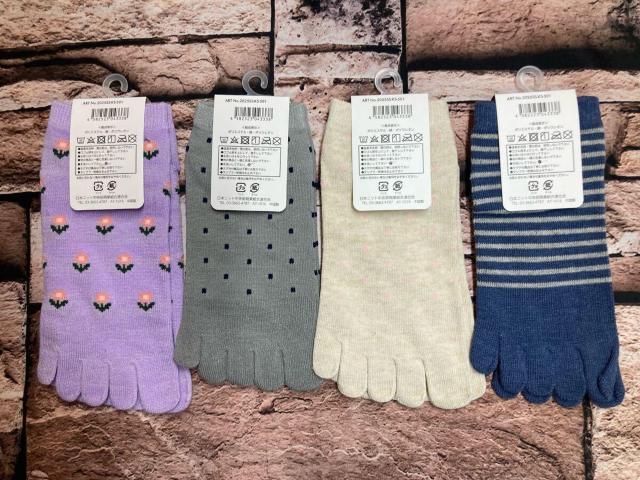 Iw摜Sgxȍ TTKIfB[XȍT{wXj[J[\bNX  t@bV 