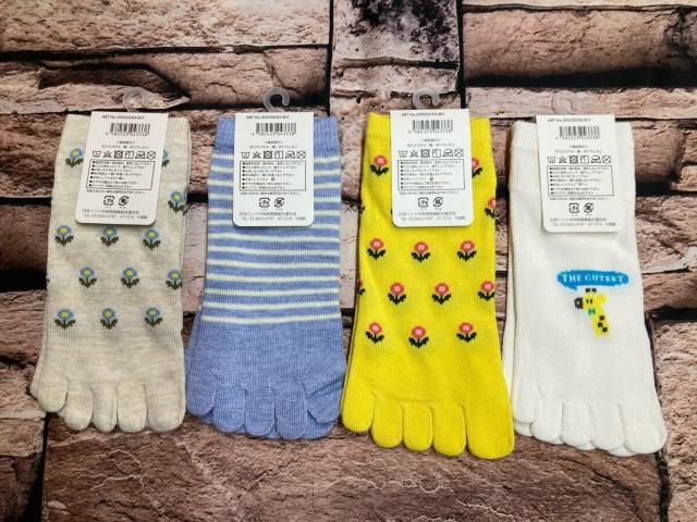 Iw摜Sgxȍ TTKIfB[XȍT{wXj[J[\bNX  t@bV 