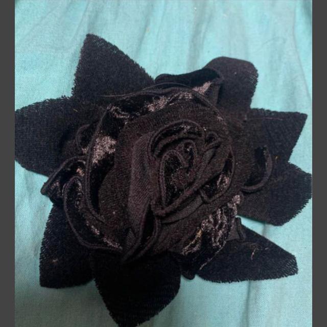 ԁJWAfUCRT[Wu[`   ANZT[/v 