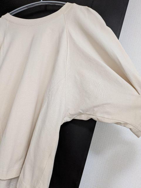 �J�v���V���[���}�[�W����T�V���c���ߗށ�����180�`