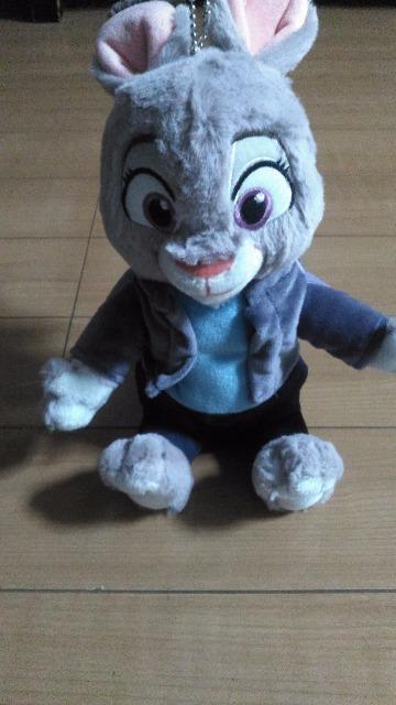 ���]�[�g�W���f�B�|�b�v�X�|�[�W�[�y���P�[�X  �� �C���e���A/���C�t�� 