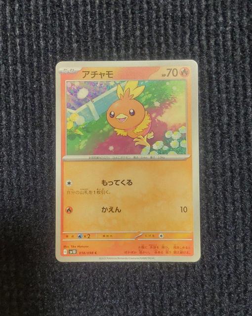 �A�`�����@�|�P�����J�[�h�@���P�b�g�c�̉h��  �� �g���[�f�B���O�J�[�h�� 