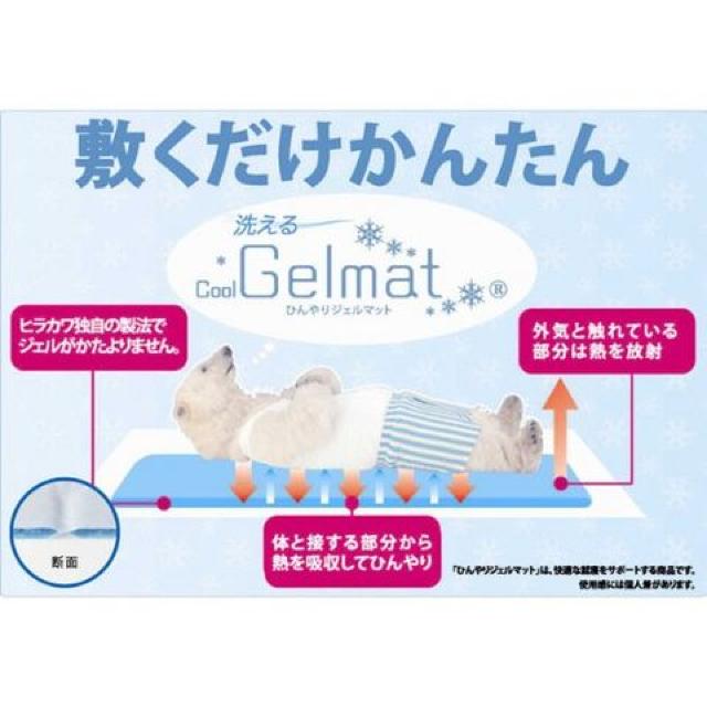ヒラカワ クールジエル マット 快適洗えて電気代0円 < インテリア/ライフ ヒラカワ クールジエル マット 快適洗えて電気代0円 < インテリア/ライフの