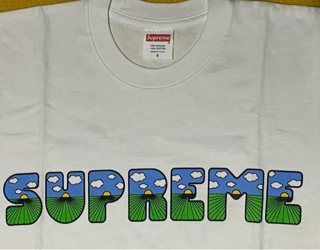 16SS Supreme     シュプリーム Tシャツ S 白 未使用 < ブランド  16SS Supreme     シュプリーム Tシャツ S 白 未使用 < ブランドの