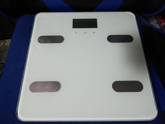 fW^KX̑g^@WH@GBF-1621@jg   wX/r[eB[ 