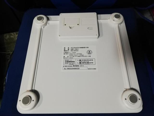 fW^KX̑g^@WH@GBF-1621@jg  wX/r[eB[ 