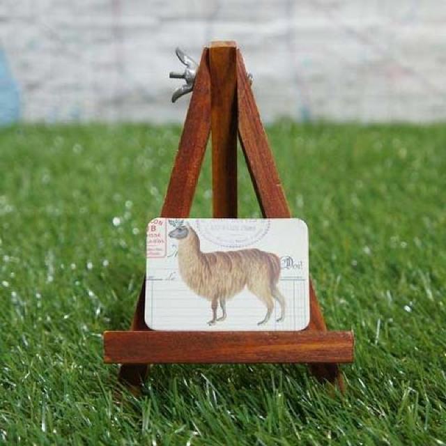 新品【マグネット】Llama/リャマ < インテリア/ライフ  新品【マグネット】Llama/リャマ  < インテリア/ライフの