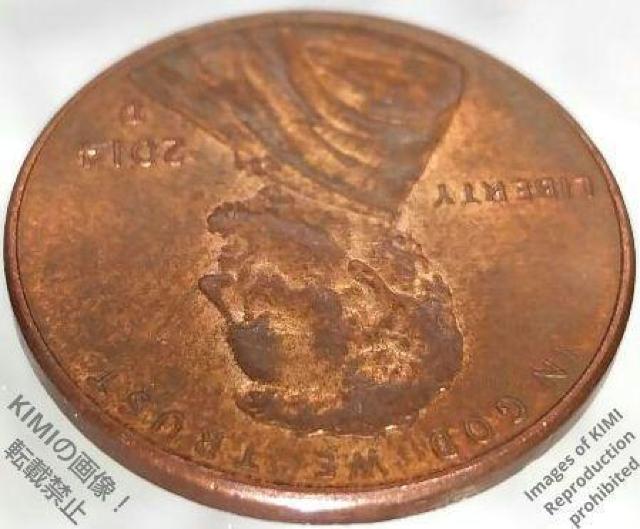 1セント硬貨 2014 D アメリカ リンカーン 1ペニー 貨幣 1 Cent Lincoln 1Penny coin 2014D < ホビー  1セント硬貨 2014 D アメリカ リンカーン 1ペニー 貨幣 1 Cent Lincoln 1Penny coin 2014D < ホビーの
