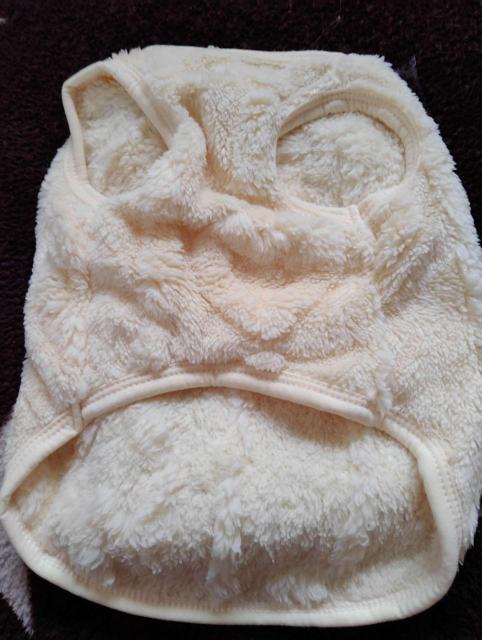 hipi life ���^���p�n�[�l�X��̌^���R���R�x�X�g �h�b�O�E�F�A �N���[���F �� �y�b�g/��|/���|�� 