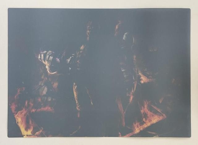 yONE PIECE/s[Xz`}bg Q  CeA/Ct 