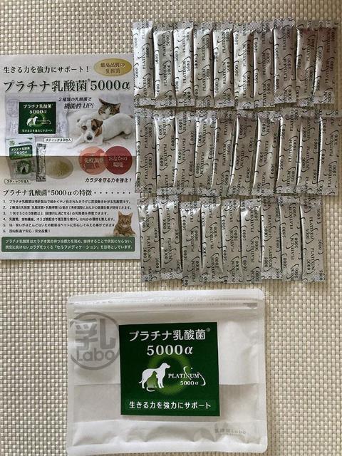 29 ΂甄  v`i_5000  L _ ybg pTvg Ɖu Y AM[t[ 