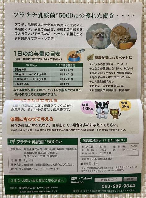 29 ΂甄  v`i_5000  L _ ybg pTvg Ɖu Y AM[t[