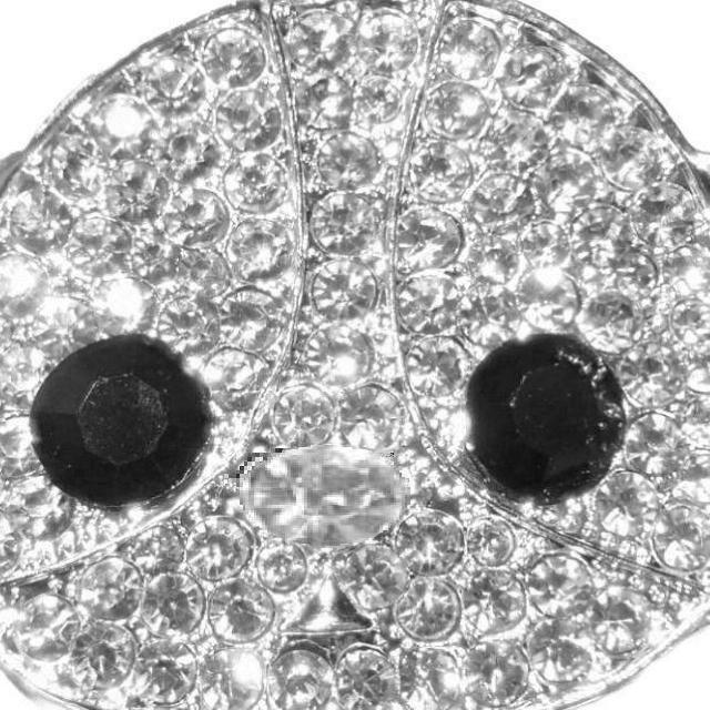 ���C���X�g�[���@���@�C�k�@�s���u���[�`�@�u���[�`�@�s���o�b�W�@�o�b�W�@���y���s���@��F�@�V���o�[�F �� �����A�N�Z�T���[/���v�� 