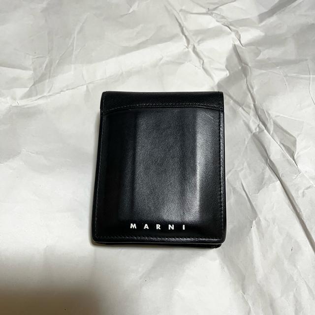 yMARNI / }jz TtBA[m / J[t / U[ ܂z   uh 