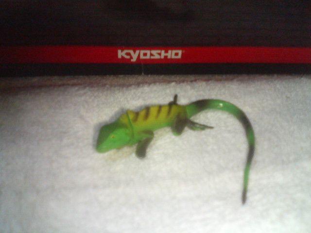 フルタ 日本の動物コレクション1 オキナワキノボリトカゲ < ホビー フルタ 日本の動物コレクション1 オキナワキノボリトカゲ < ホビーの