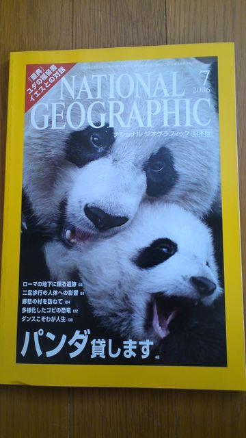ナショナルジオグラフィック2006年7月号「パンダ」 < 本/雑誌  ナショナルジオグラフィック2006年7月号「パンダ」  < 本/雑誌の
