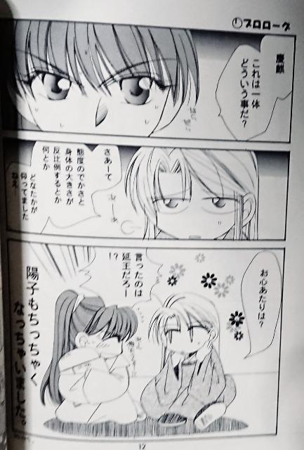十二国記同人誌《景麒×陽子》2冊セット < アニメ/コミック/キャラクター  十二国記同人誌《景麒×陽子》2冊セット < アニメ/コミック/キャラクターの