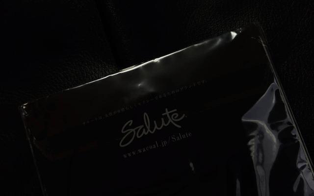 Wacoal/ワコール/salute/サルート/72G/旧グループ/ガーターストッキング/ZTJ272 < 女性ファッション  Wacoal/ワコール/salute/サルート/72G/旧グループ/ガーターストッキング/ZTJ272 < 女性ファッションの
