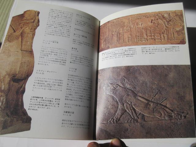 「大英博物館 ガイドと案内図  日本語版 」 < ホビー  「大英博物館 ガイドと案内図  日本語版 」 < ホビーの