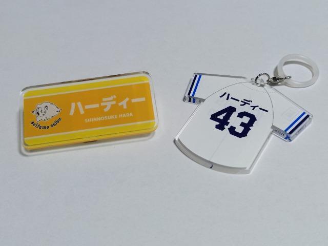 埼玉西武ライオンズ2025 43 羽田慎之介投手 シークレットネームプレート・目印チャーム < レジャー/スポーツ  埼玉西武ライオンズ2025 43 羽田慎之介投手 シークレットネームプレート・目印チャーム  < レジャー/スポーツの