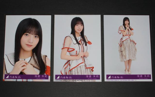 乃木坂46 ビリヤニ 生写真3枚セット 海邉朱莉 < タレントグッズ 乃木坂46 ビリヤニ 生写真3枚セット 海邉朱莉 < タレントグッズの