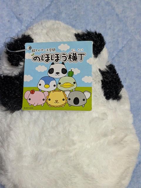 �̂قى����p���_�ʂ������ �� ��������� 