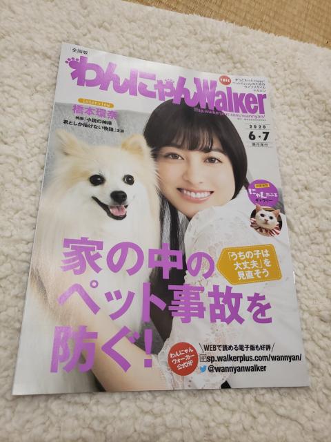 {ށ@ɂWalker@2020.6E7   ^gObY 