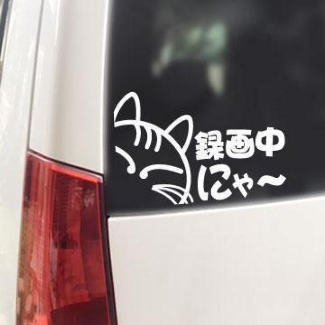 ^撆ɂ`/XebJ[i/lRjhRڎ14cm
