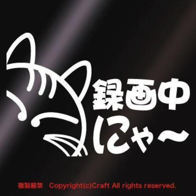 ^撆ɂ`/XebJ[i/lRjhRڎ14cm