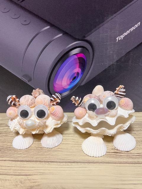 シーサー < インテリア/ライフ シーサー < インテリア/ライフの