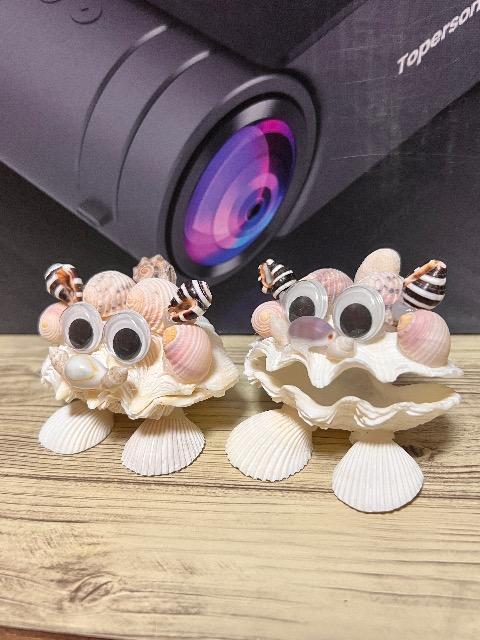 シーサー < インテリア/ライフ シーサー < インテリア/ライフの