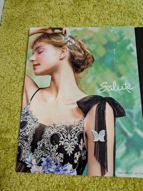 Wacoal/R[/salute/T[g/2025NH2026N/ŐVŃJ^O܂2Zbg/^[pbNCg