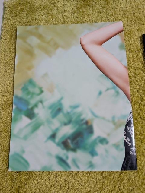 Wacoal/R[/salute/T[g/2025NH2026N/ŐVŃJ^O܂2Zbg/^[pbNCg