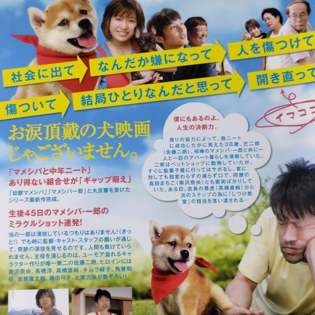 �y���{�f��zDVD�w�f��� �}���V�o��Y �t�[�e���̎œ�Y�x�����^������ �� CD/DVD/�r�f�I�� 