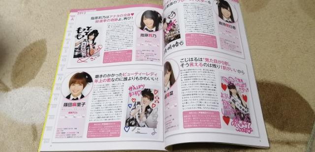 AKB48総選挙☆公式ガイドブック2012年! < タレントグッズ  AKB48総選挙☆公式ガイドブック2012年! < タレントグッズの