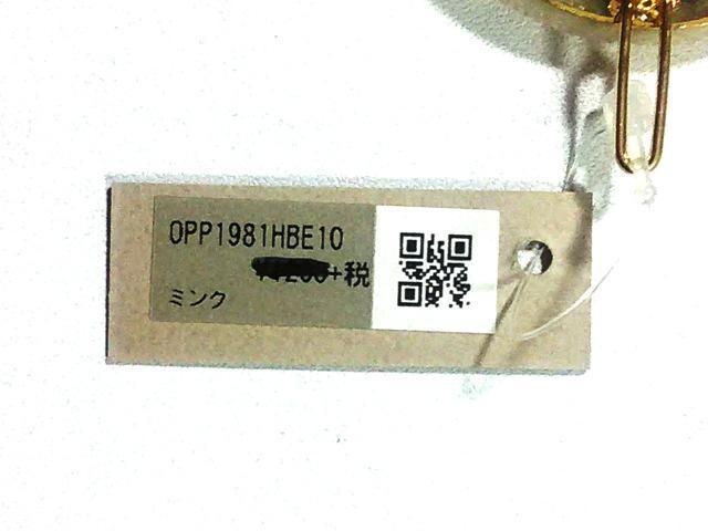 wAs KAZA 0PP1981HBE10 ~N  t@bV 