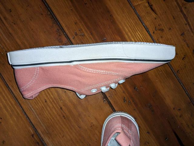 Vi 24.5cm Xj[J[ [Jbg fB[X C V[Y sN  LbY/xr[ 