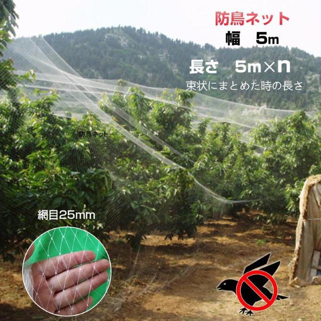 防鳥ネット 防鳥網 透明 幅5m 長さ5m 網目25mm 強力 ナイロン 鳥よけネット カラスよけ 害獣 防獣 田んぼ 畑 農園 < インテリア/ライフ 防鳥ネット 防鳥網 透明 幅5m 長さ5m 網目25mm 強力 ナイロン 鳥よけネット カラスよけ 害獣 防獣 田んぼ 畑 農園 < インテリア/ライフの