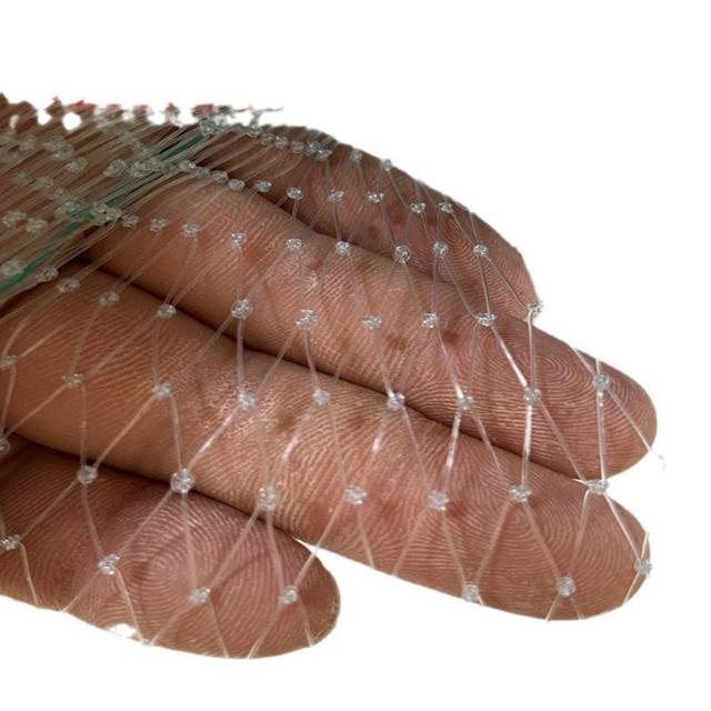 防鳥ネット 防鳥網 透明 幅5m 長さ5m 網目25mm 強力 ナイロン 鳥よけネット カラスよけ 害獣 防獣 田んぼ 畑 農園 < インテリア/ライフ 防鳥ネット 防鳥網 透明 幅5m 長さ5m 網目25mm 強力 ナイロン 鳥よけネット カラスよけ 害獣 防獣 田んぼ 畑 農園 < インテリア/ライフの