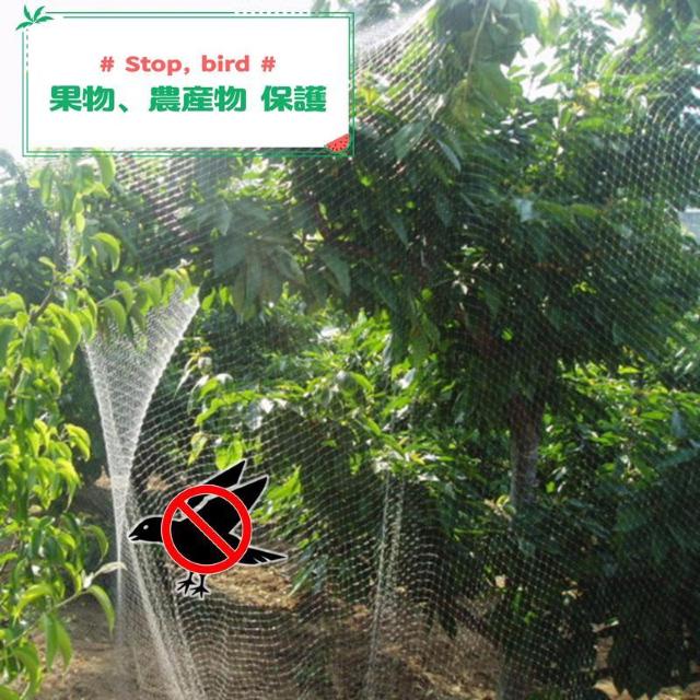 防鳥ネット 防鳥網 透明 幅5m 長さ5m 網目25mm 強力 ナイロン 鳥よけネット カラスよけ 害獣 防獣 田んぼ 畑 農園 < インテリア/ライフ 防鳥ネット 防鳥網 透明 幅5m 長さ5m 網目25mm 強力 ナイロン 鳥よけネット カラスよけ 害獣 防獣 田んぼ 畑 農園 < インテリア/ライフの