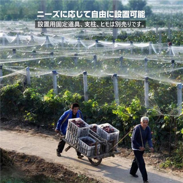 防鳥ネット 防鳥網 透明 幅5m 長さ5m 網目25mm 強力 ナイロン 鳥よけネット カラスよけ 害獣 防獣 田んぼ 畑 農園 < インテリア/ライフ 防鳥ネット 防鳥網 透明 幅5m 長さ5m 網目25mm 強力 ナイロン 鳥よけネット カラスよけ 害獣 防獣 田んぼ 畑 農園 < インテリア/ライフの