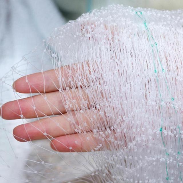 防鳥ネット 防鳥網 透明 幅5m 長さ5m 網目25mm 強力 ナイロン 鳥よけネット カラスよけ 害獣 防獣 田んぼ 畑 農園 < インテリア/ライフ 防鳥ネット 防鳥網 透明 幅5m 長さ5m 網目25mm 強力 ナイロン 鳥よけネット カラスよけ 害獣 防獣 田んぼ 畑 農園 < インテリア/ライフの