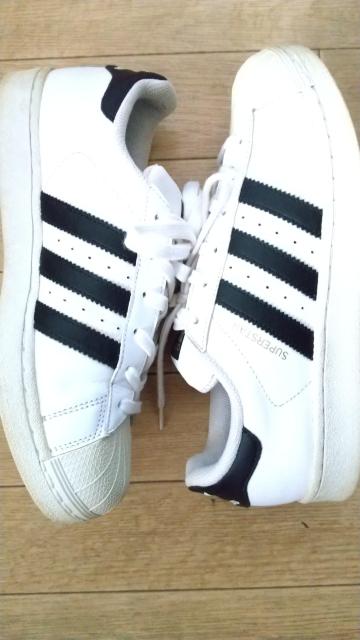 adidas@SUPERSTAR@X[p[X^[@~@25cm  uh 
