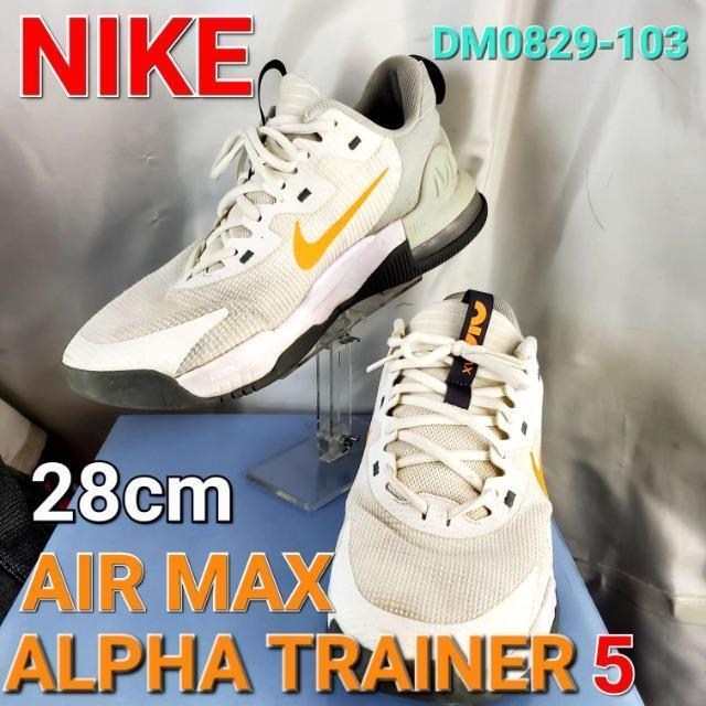 ���݁�NIKE���G�A�}�b�N�X �A���t�@�g���[�i�[5�X�j�[�J�[��28�p��  �� �u�����h�� 