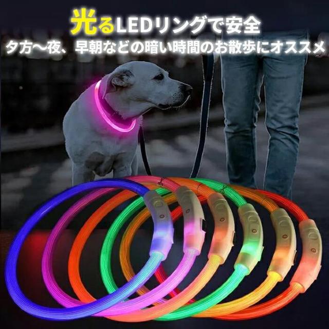 ߉\ p LED a21cm USB[d sN J[L  ybg/|/| 