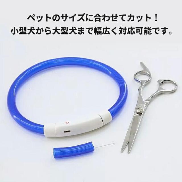 ߉\ p LED a21cm USB[d sN J[L  ybg/|/| 