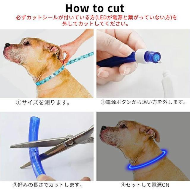 ߉\ p LED a21cm USB[d sN J[L  ybg/|/| 