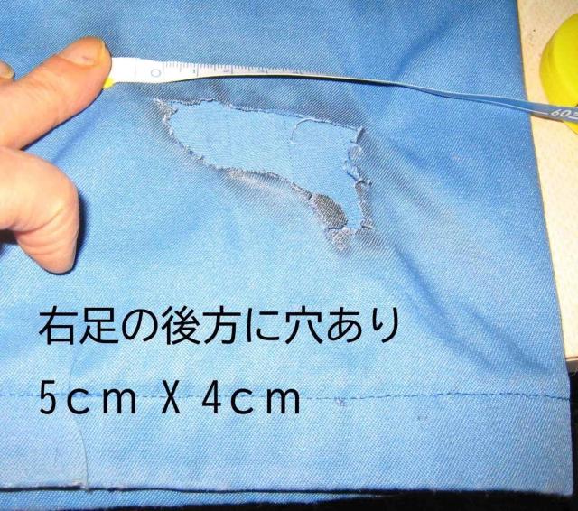 PIN-UP GIRL�@�s���i�b�v�E�K�[���@�J�X�^���̓V�g�@����`���C���X�g����@�c�i�M�@USED�@���F�@L�@ ��`���C���X�g���� �� �j���t�@�b�V������ 