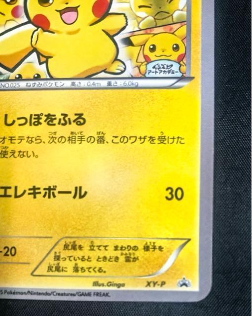 �y����/�v�����z�s�J�`���E �A�[�g�A�J�f�~�[ ���܎Ҍ��� XY-P Ginga �C���X�g�R���e�X�g 2015 ���� �� �g���[�f�B���O�J�[�h�� 