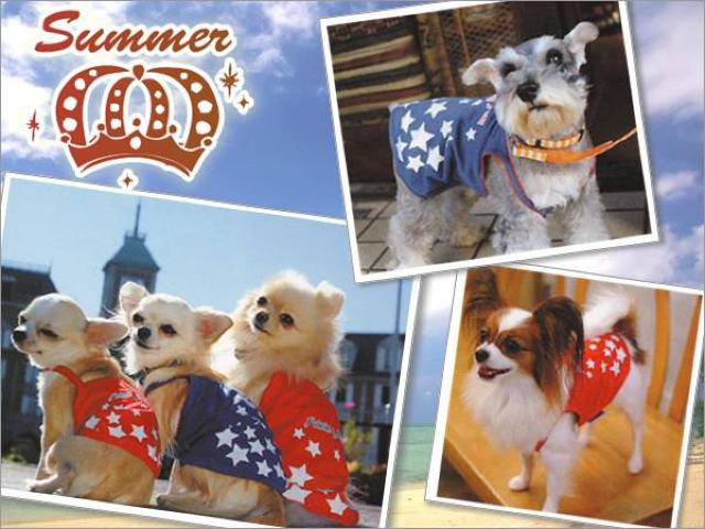 もこもこスターキャミソール MD レッド★新品 〜5kg位 < ペット/手芸/園芸  もこもこスターキャミソール MD レッド★新品 〜5kg位  < ペット/手芸/園芸の